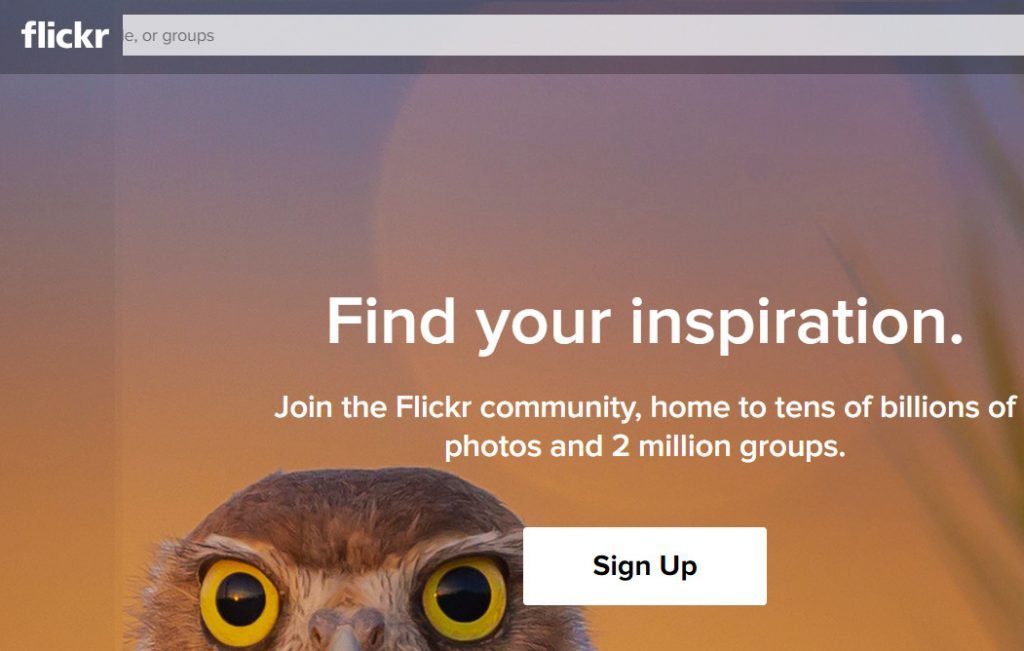 flickr earn money