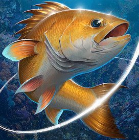 Fishing Hook MOD APK v2.4.3 (Unlimited Money) 2021 Latest Version